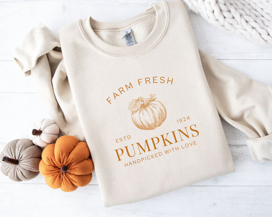 Pumpkin Sweatshirt